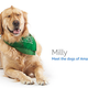 Image for article titled Amazon's Error Dogs, Ranked